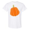 20 Shirts for $149 - Gildan  Thumbnail