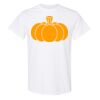 20 Shirts for $149 - Gildan  Thumbnail