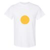 20 Shirts for $149 - Gildan  Thumbnail