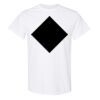 20 Shirts for $149 - Gildan  Thumbnail