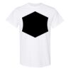 20 Shirts for $149 - Gildan  Thumbnail