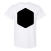 20 Shirts for $149 - Gildan  Thumbnail