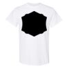 20 Shirts for $149 - Gildan  Thumbnail