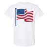 20 Shirts for $149 - Gildan  Thumbnail