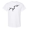 20 Shirts for $149 - Gildan  Thumbnail