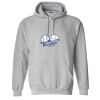 Heavy Blend™ Hooded Sweatshirt - Full Color Printing Thumbnail