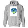 Heavy Blend™ Hooded Sweatshirt - Full Color Printing Thumbnail