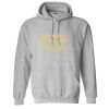 Heavy Blend™ Hooded Sweatshirt - Full Color Printing Thumbnail